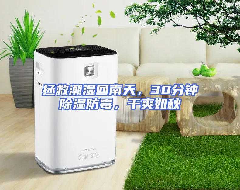 拯救潮湿回南天，30分钟除湿防霉，干爽如秋