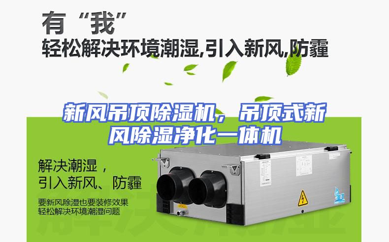 新风吊顶除湿机，吊顶式新风除湿净化一体机