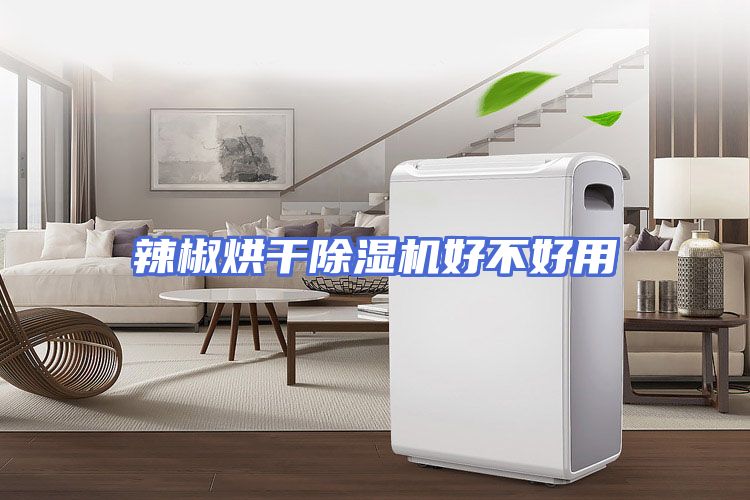 辣椒烘干除湿机好不好用