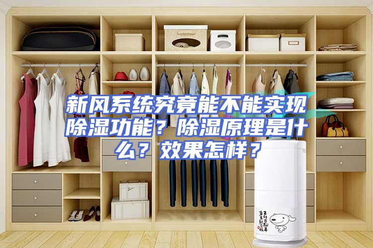 新风系统究竟能不能实现除湿功能？除湿原理是什么？效果怎样？