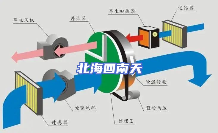 北海回南天