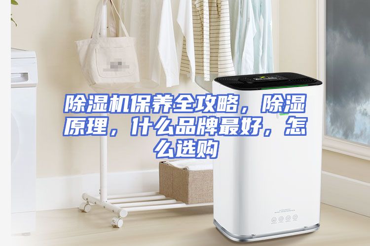 除湿机保养全攻略，除湿原理，什么品牌最好，怎么选购