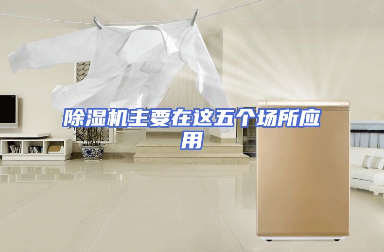 除湿机主要在这五个场所应用