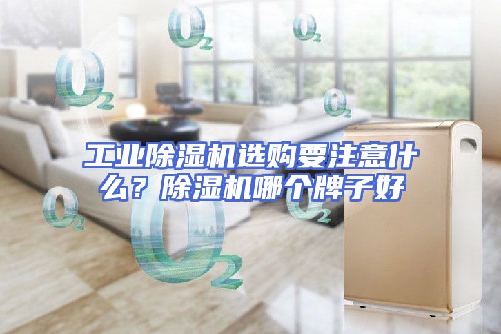 工业除湿机选购要注意什么？除湿机哪个牌子好