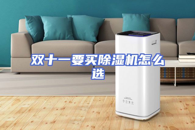 双十一要买除湿机怎么选