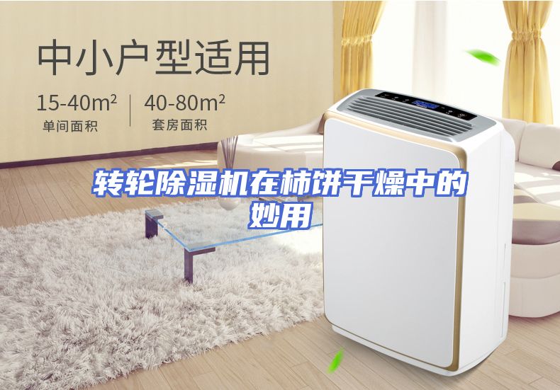 转轮除湿机在柿饼干燥中的妙用