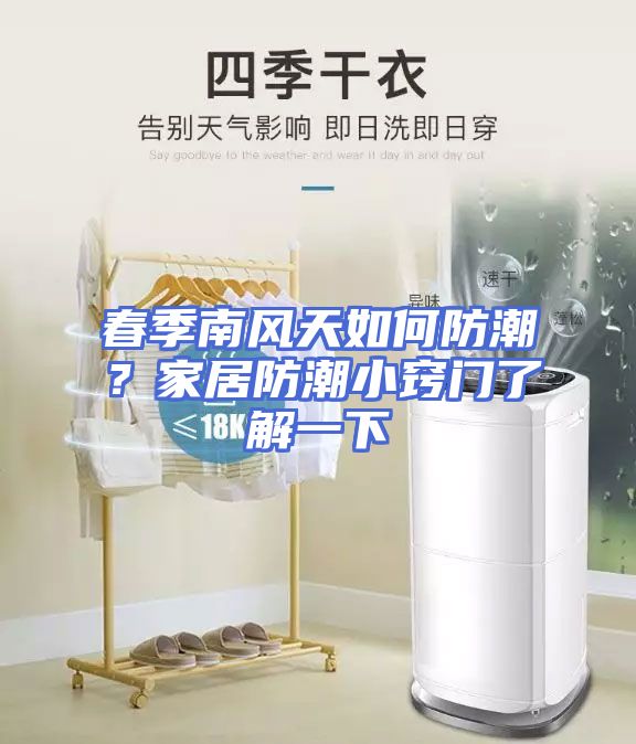 春季南风天如何防潮？家居防潮小窍门了解一下