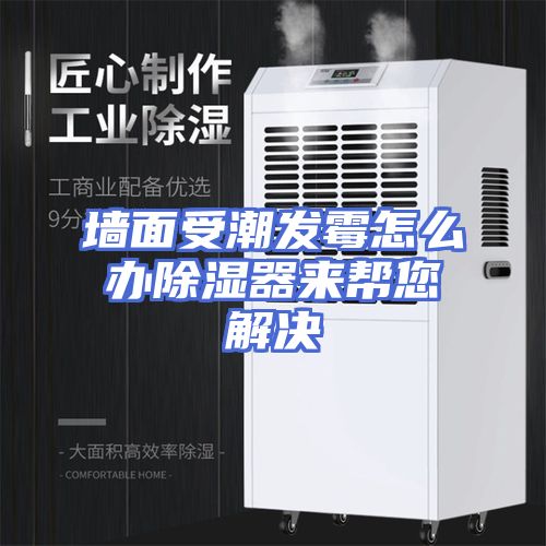 墙面受潮发霉怎么办除湿器来帮您解决
