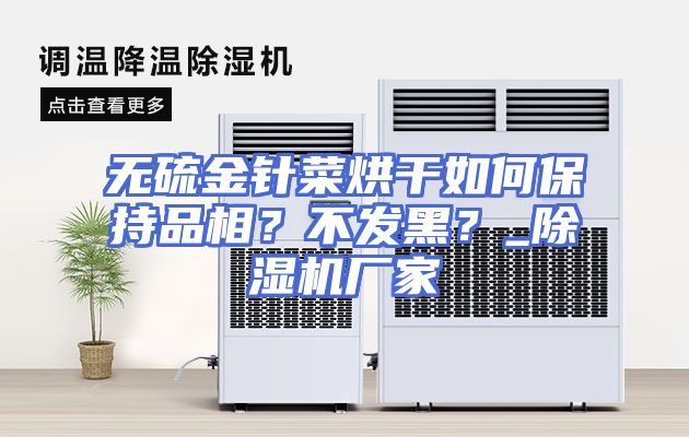 无硫金针菜烘干如何保持品相？不发黑？_除湿机厂家