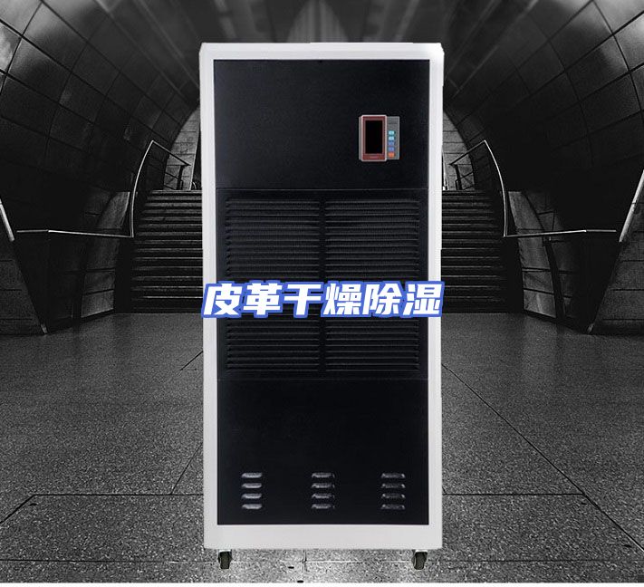 皮革干燥除湿
