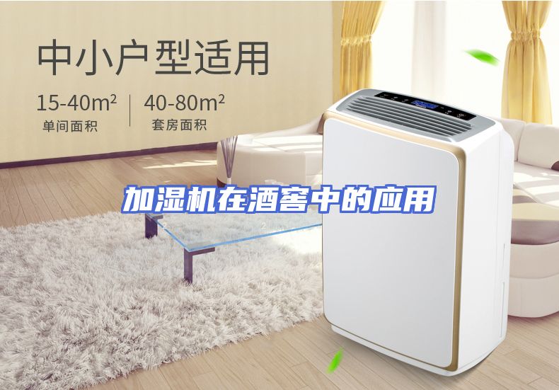 加湿机在酒窖中的应用
