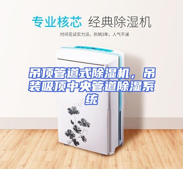 吊顶管道式除湿机，吊装吸顶中央管道除湿系统