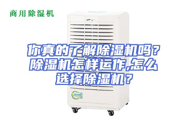 你真的了解除湿机吗？除湿机怎样运作,怎么选择除湿机？
