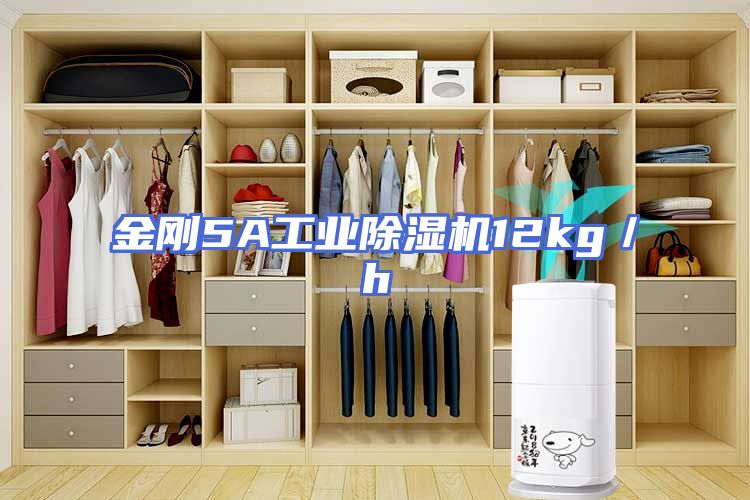 金刚5A工业除湿机12kg／h