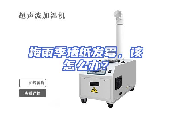 梅雨季墙纸发霉，该怎么办？