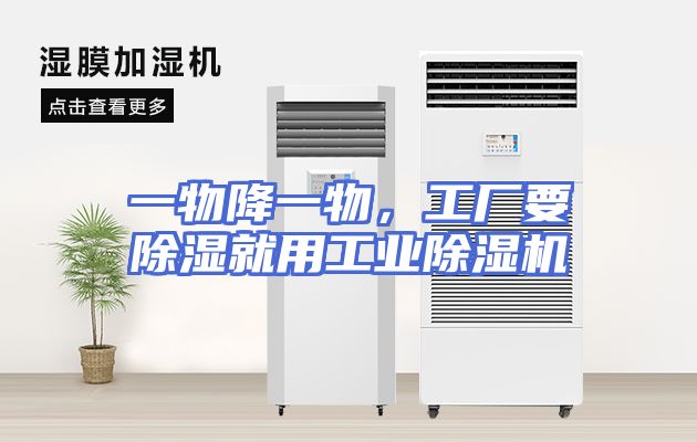 一物降一物，工厂要除湿就用工业除湿机