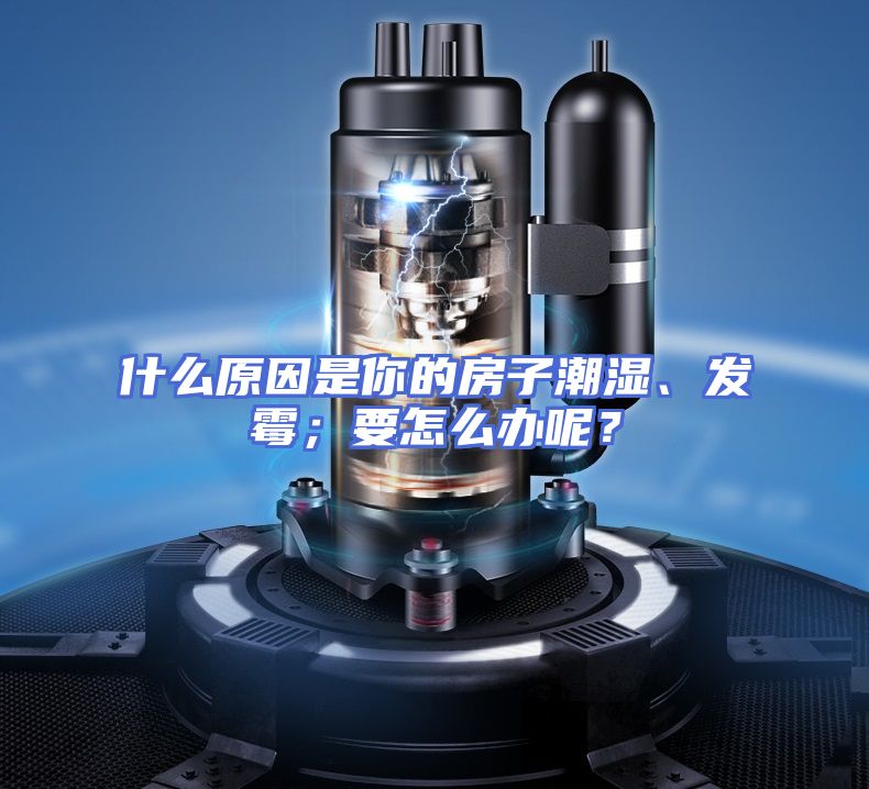什么原因是你的房子潮湿、发霉；要怎么办呢？