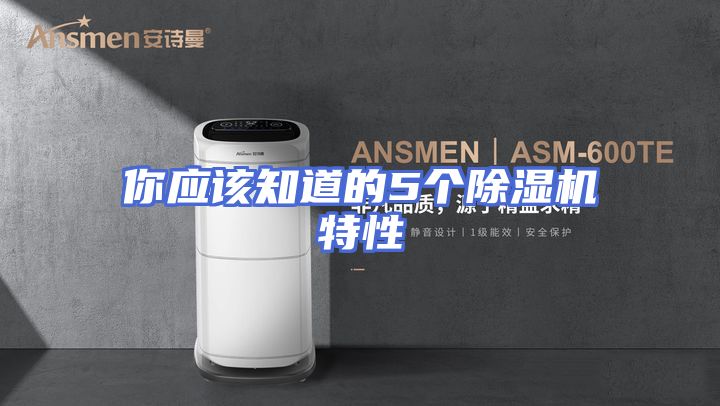 你应该知道的5个除湿机特性