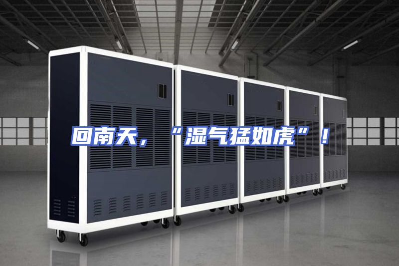 回南天,“湿气猛如虎”!