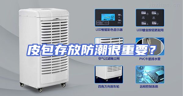皮包存放防潮很重要？