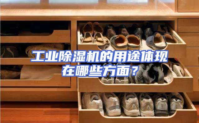 工业除湿机的用途体现在哪些方面？