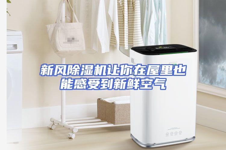 新风除湿机让你在屋里也能感受到新鲜空气