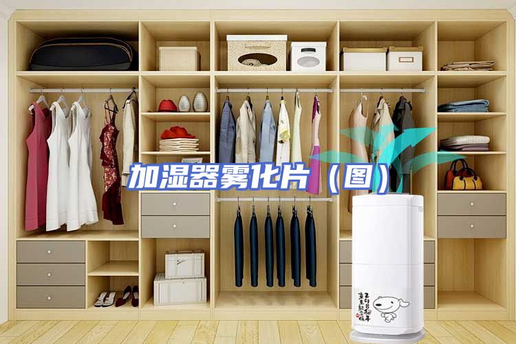 加湿器雾化片（图）