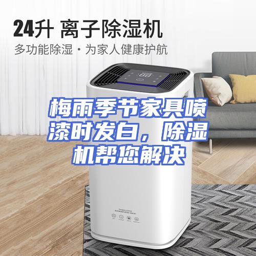 梅雨季节家具喷漆时发白，除湿机帮您解决