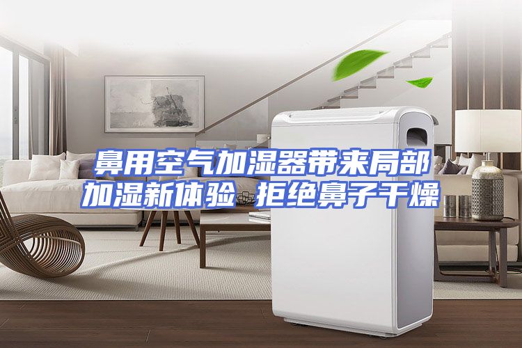 鼻用空气加湿器带来局部加湿新体验 拒绝鼻子干燥