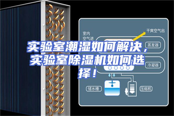 实验室潮湿如何解决，实验室除湿机如何选择！