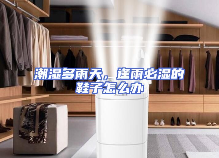 潮湿多雨天，逢雨必湿的鞋子怎么办