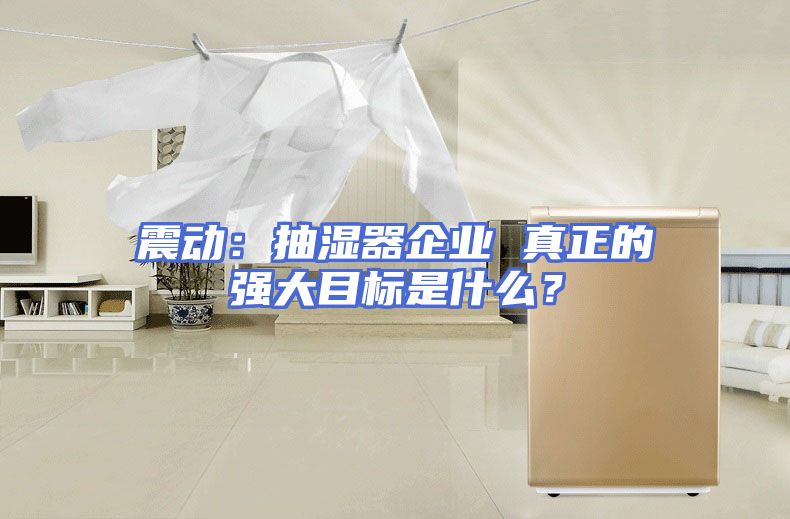 震动：抽湿器企业 真正的强大目标是什么？