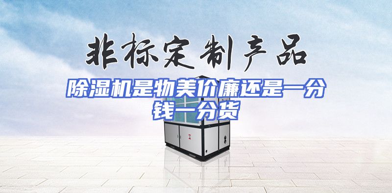 除湿机是物美价廉还是一分钱一分货