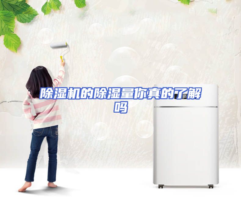除湿机的除湿量你真的了解吗