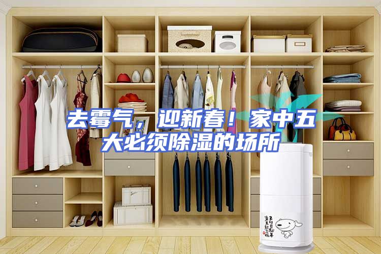 去霉气，迎新春！家中五大必须除湿的场所