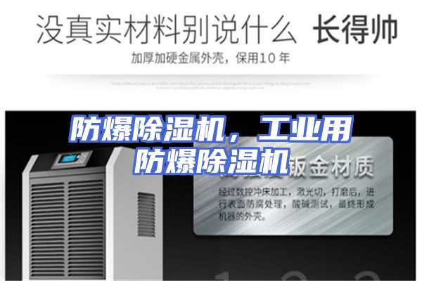防爆除湿机，工业用防爆除湿机