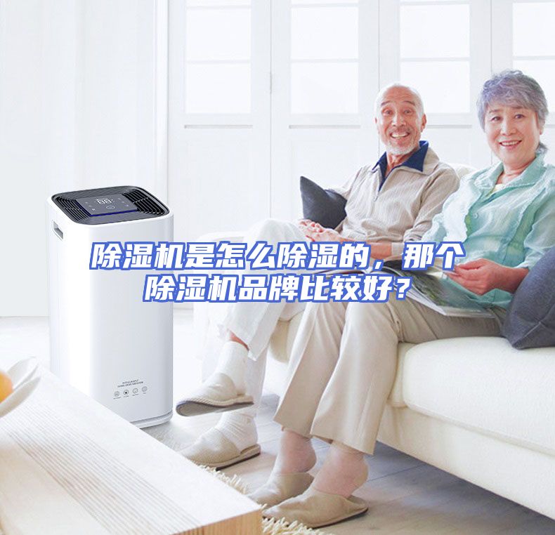 除湿机是怎么除湿的，那个除湿机品牌比较好？