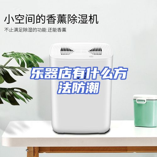 乐器店有什么方法防潮