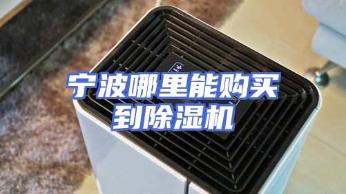 宁波哪里能购买到除湿机