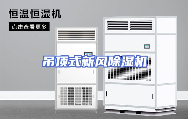 吊顶式新风除湿机