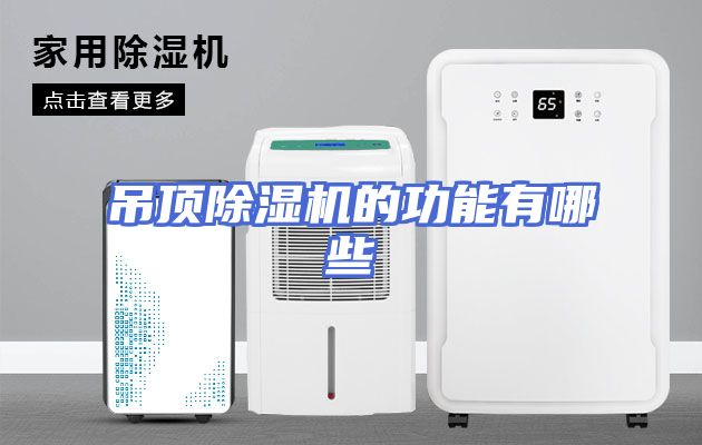 吊顶除湿机的功能有哪些