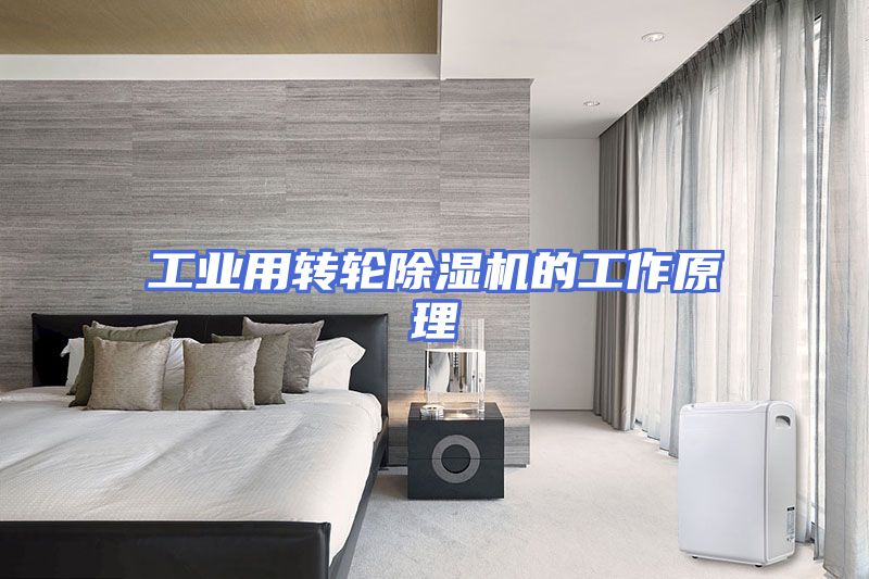 工业用转轮除湿机的工作原理