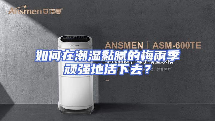如何在潮湿黏腻的梅雨季顽强地活下去？