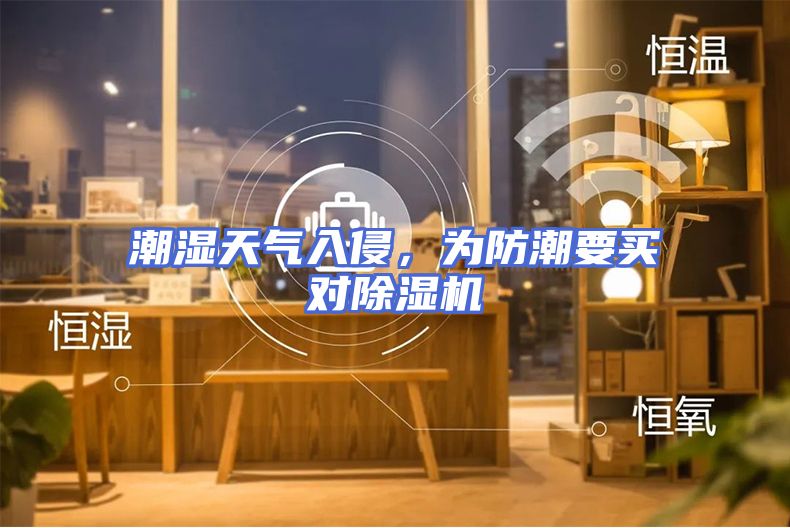 潮湿天气入侵，为防潮要买对除湿机