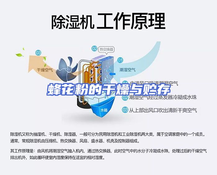 蜂花粉的干燥与贮存