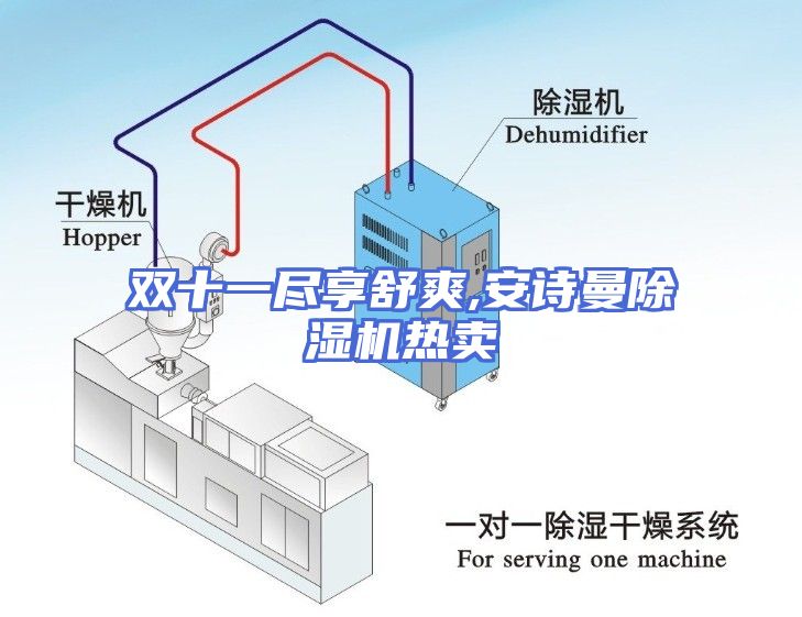 双十一尽享舒爽,安诗曼除湿机热卖