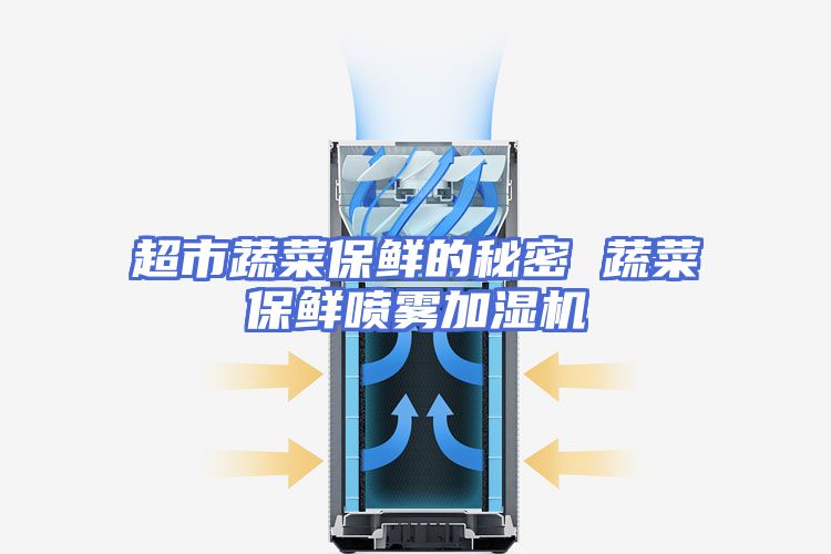 超市蔬菜保鲜的秘密 蔬菜保鲜喷雾加湿机