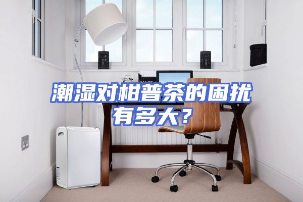 潮湿对柑普茶的困扰有多大？