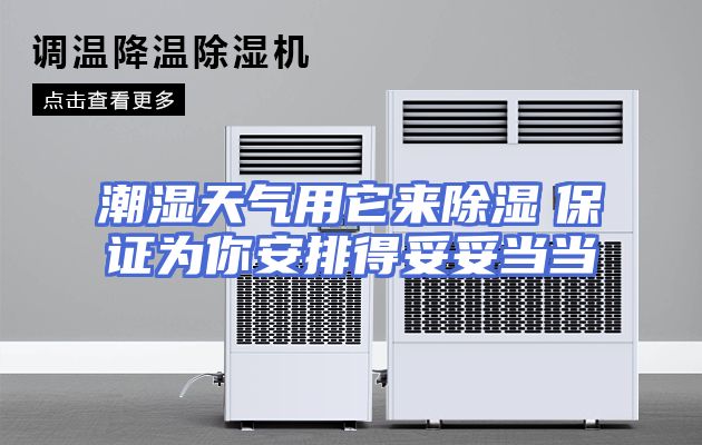 潮湿天气用它来除湿　保证为你安排得妥妥当当