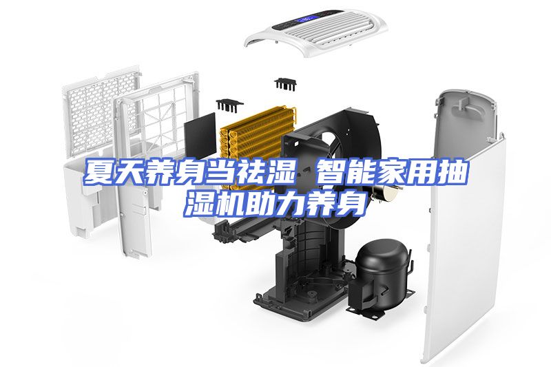 夏天养身当祛湿 智能家用抽湿机助力养身